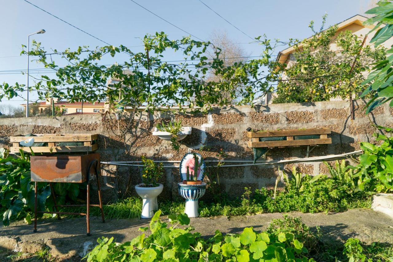 Bed and Breakfast Growth House Порту Экстерьер фото